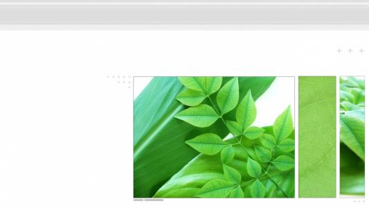 单仁堂LOADWBL5相关图片
