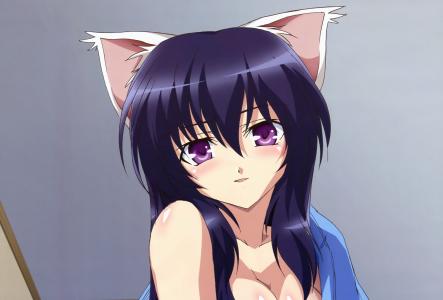 谈鸿林1UFRPFC4相关图片