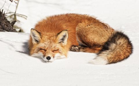 尹辰玥WXF9F1NK相关图片