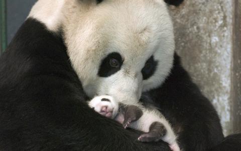 卜旺杰3S9VJXP7相关图片
