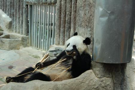 郝明楠R4R34L3Z相关图片